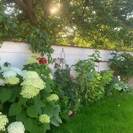 Quiet Retreat Im Weinviertel *