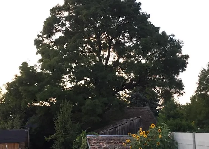 Quiet Retreat Im Weinviertel Holiday home