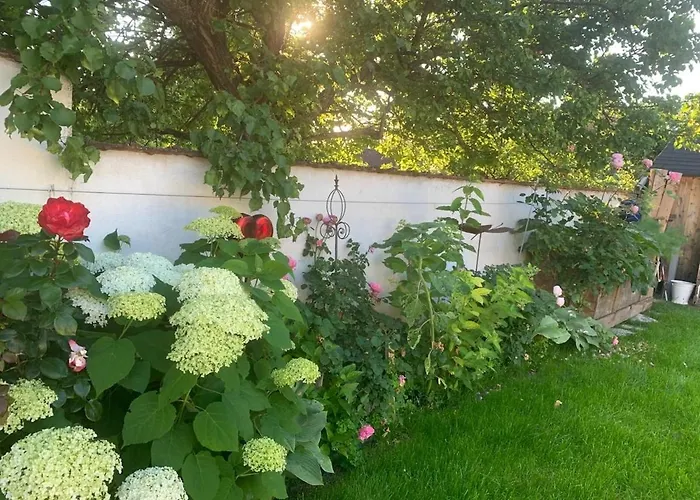 Quiet Retreat Im Weinviertel *